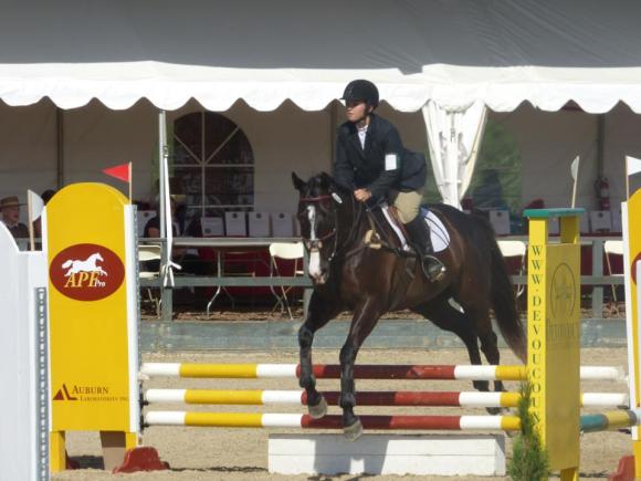 show jumping at Woodside with my old horse, Blazer (AKA Heisenberg) May 2014
